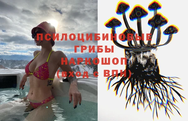 PSILOCYBIN Бугульма