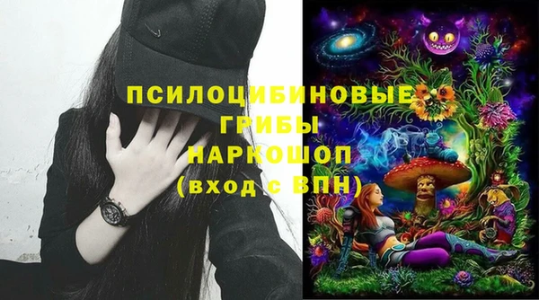 соль ск Бронницы