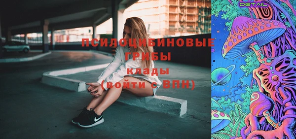 соль ск Бронницы