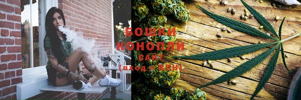 соль ск Бронницы