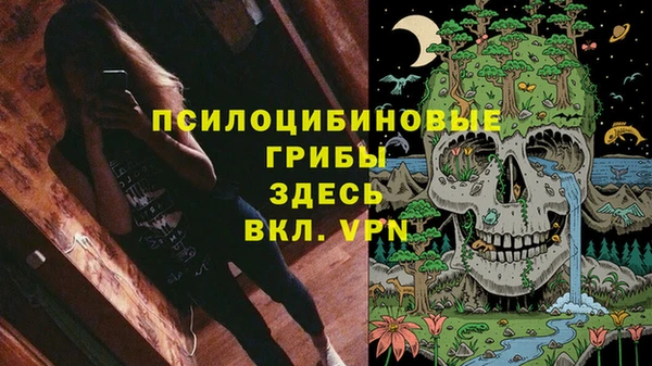 PSILOCYBIN Бугульма