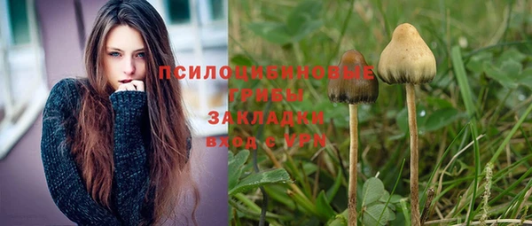 соль ск Бронницы