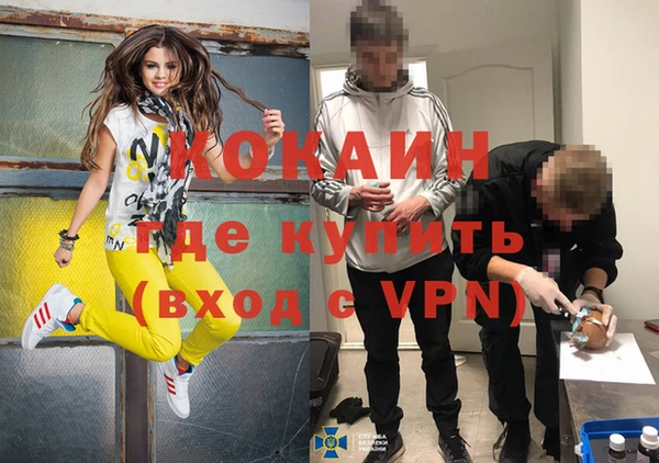 гашик Россошь